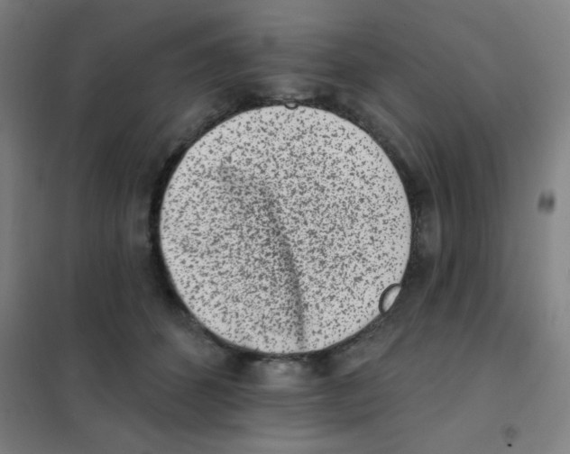 X0000101420512200808041131