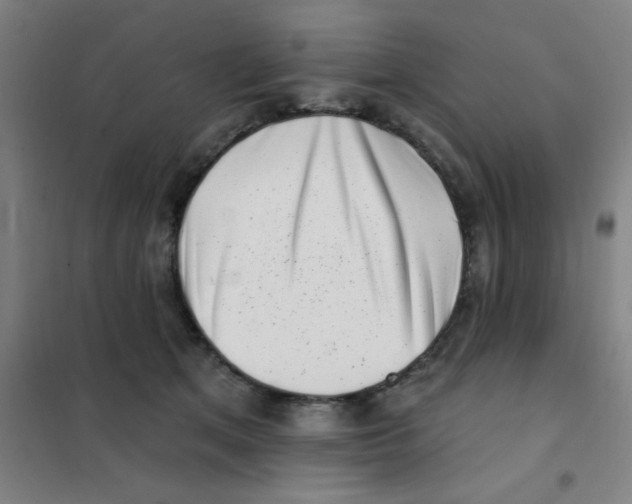 X0000101420513200808041131