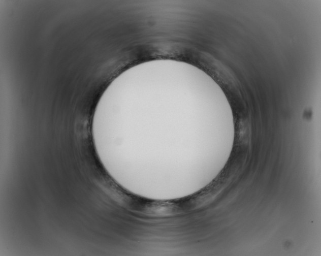 X0000101420514200808041131