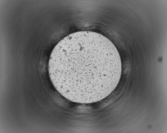 X0000101420515200808041131