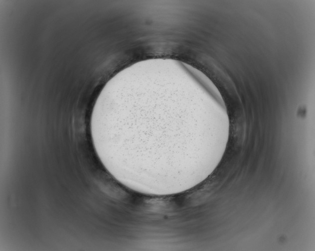 X0000101420516200808041131