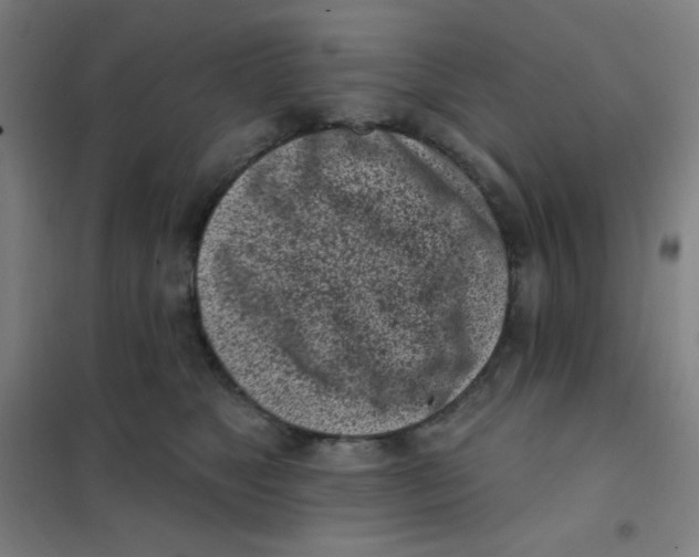 X0000101420517200808041131