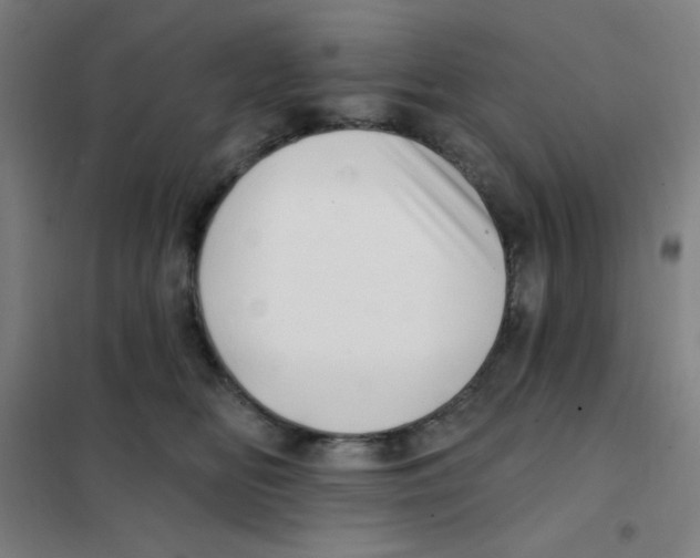 X0000101420518200808041131