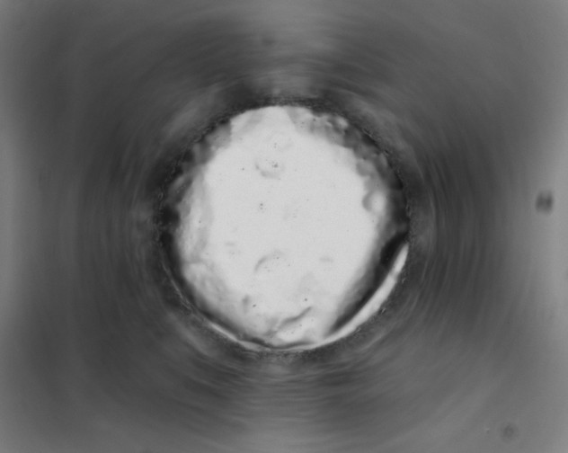 X0000101420519200808041131