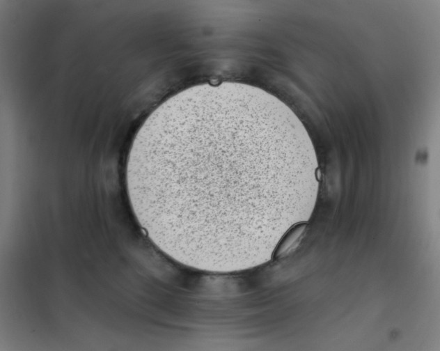 X0000101420520200808041131