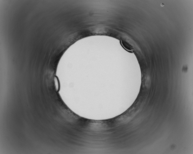X0000101420521200808041131