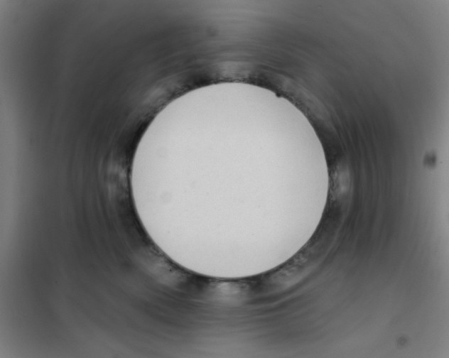 X0000101420522200808041131