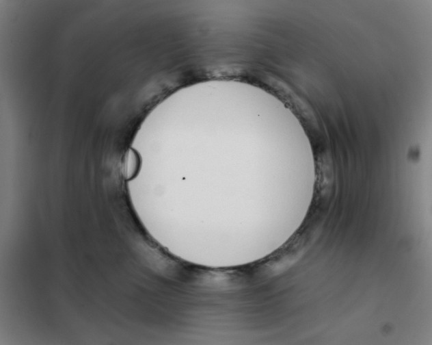X0000101420523200808041131