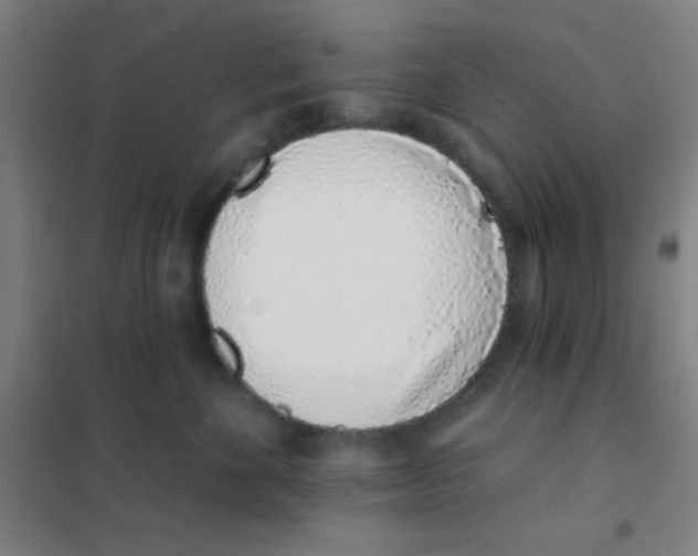 X0000101420524200808041131