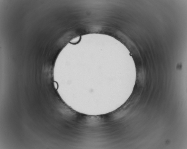 X0000101420525200808041131