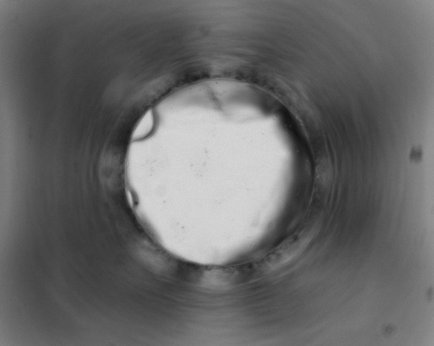 X0000101420527200808041131