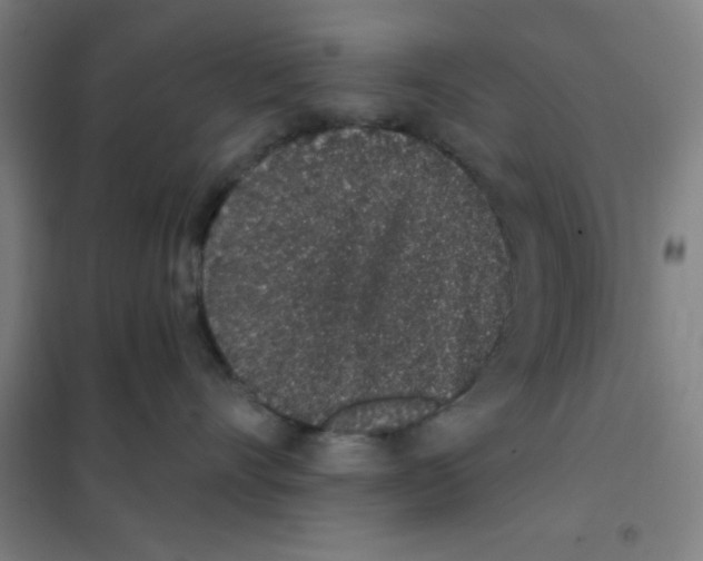 X0000101420528200808041131