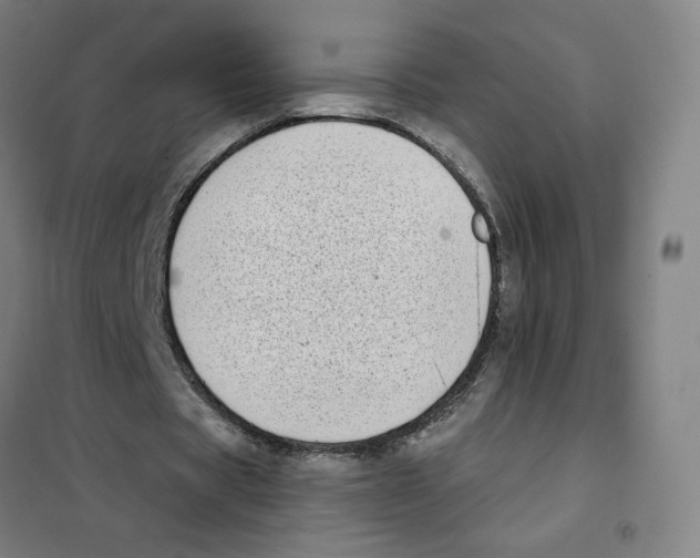 X0000101420529200808041130