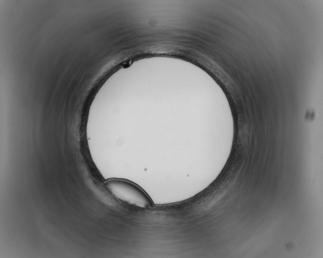 X0000101420530200808041130