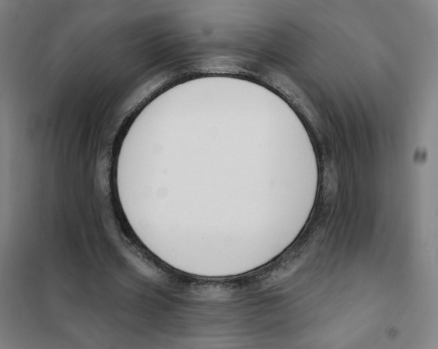 X0000101420533200808041130