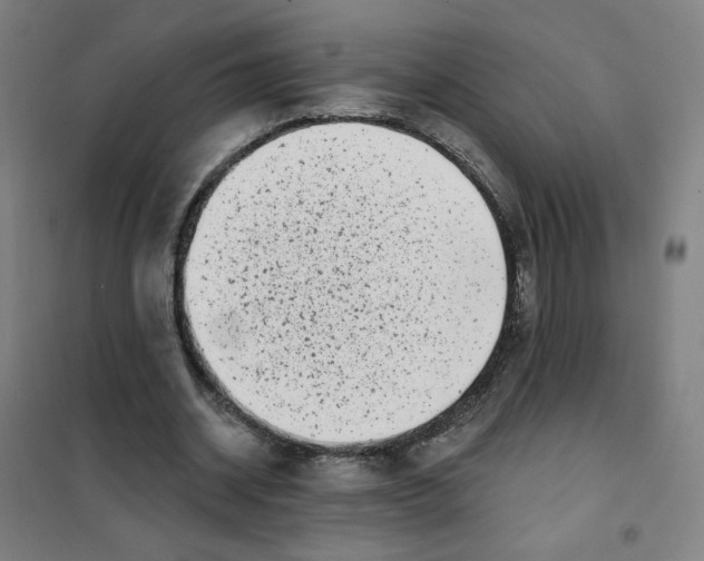 X0000101420534200808041130