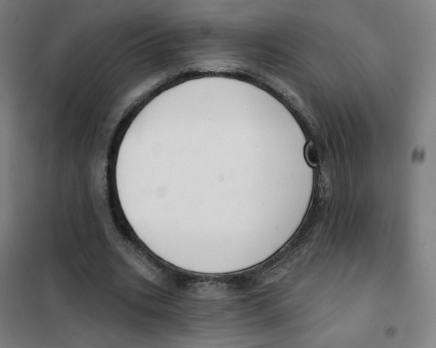 X0000101420535200808041130