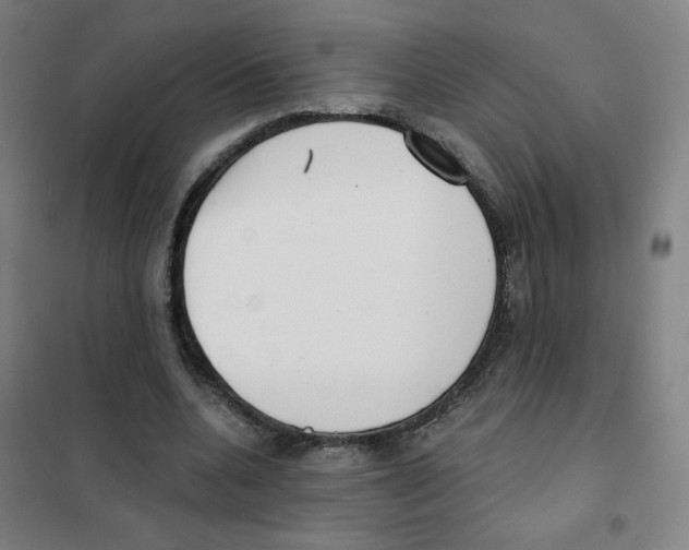 X0000101420536200808041130