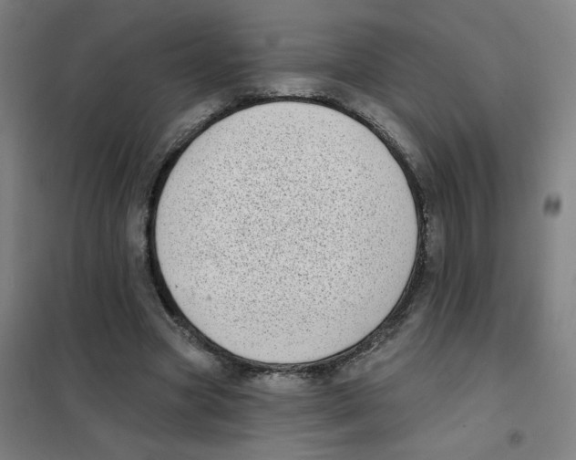 X0000101420537200808041130