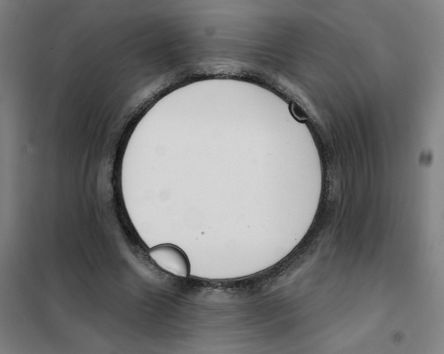 X0000101420538200808041130