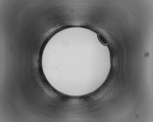 X0000101420540200808041130