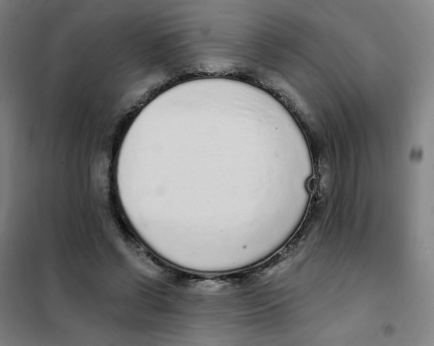 X0000101420542200808041130