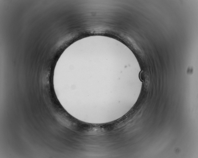 X0000101420543200808041130