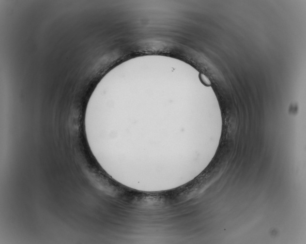 X0000101420546200808041130