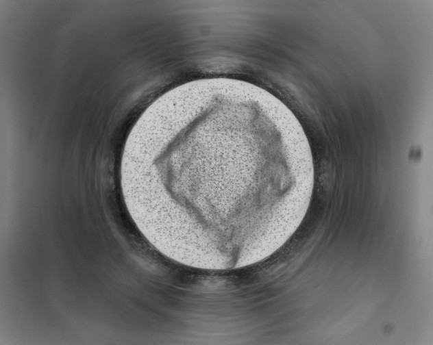 X0000101420547200808041130