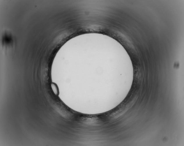 X0000101420548200808041130