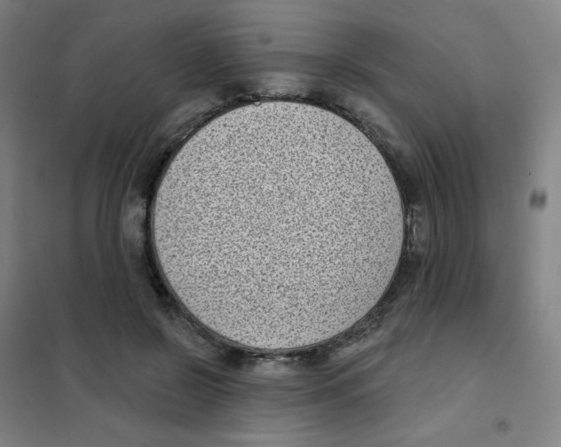 X0000101420550200808041130