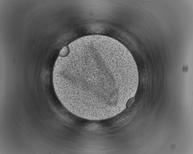 X0000101420551200808041130