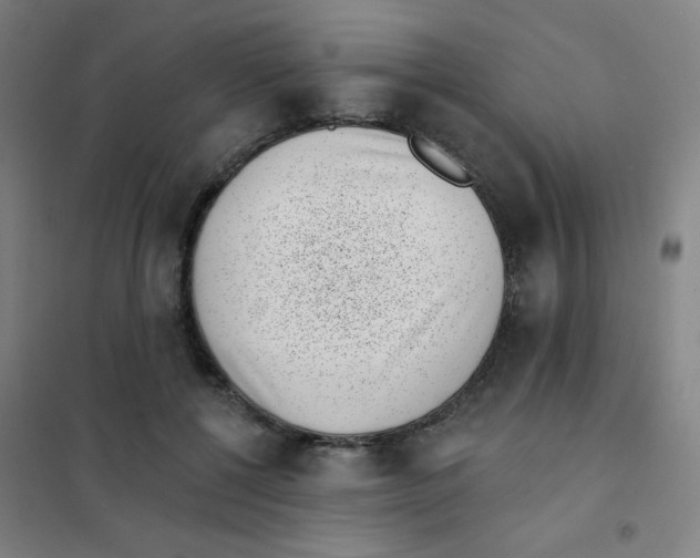 X0000101420552200808041130