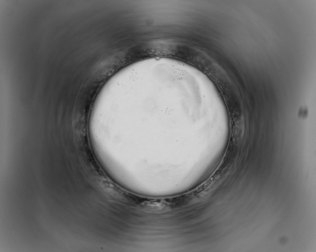 X0000101420553200808041130