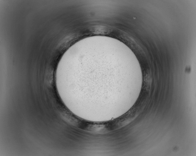 X0000101420554200808041130