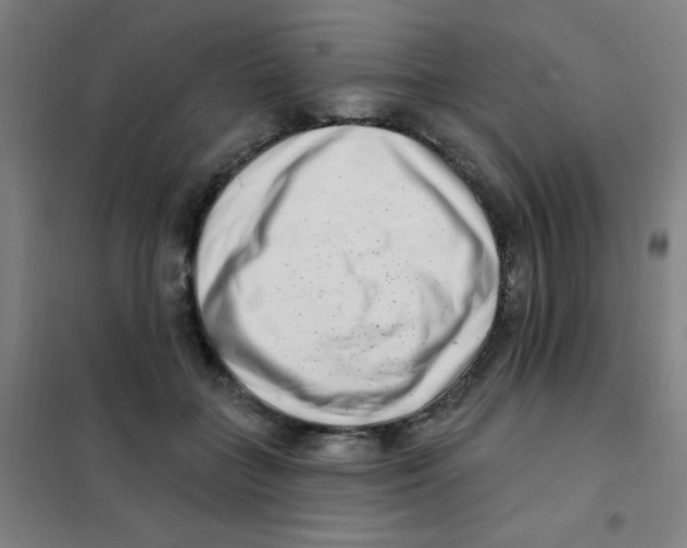 X0000101420555200808041130