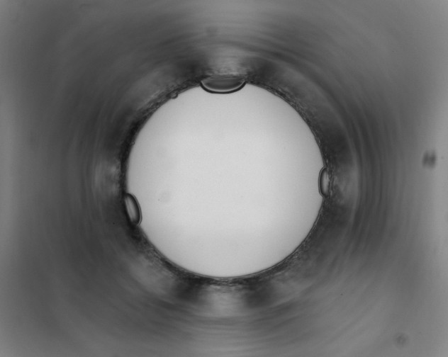 X0000101420556200808041130