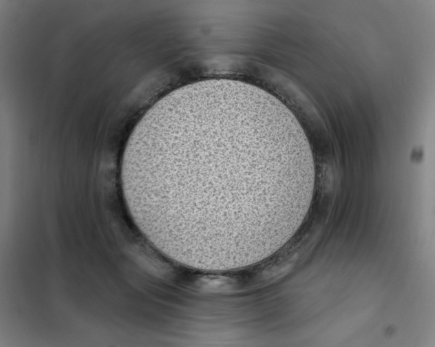 X0000101420557200808041130