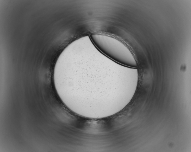 X0000101420558200808041130