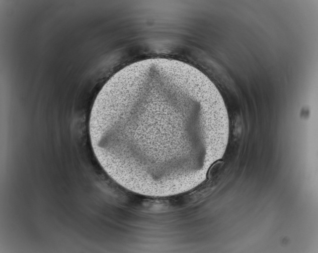 X0000101420559200808041130