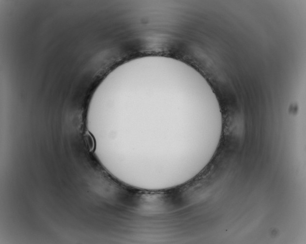 X0000101420560200808041130