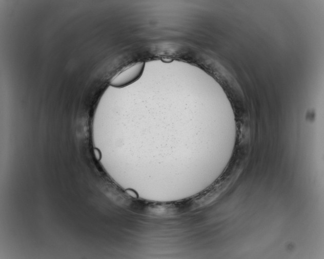 X0000101420561200808041130