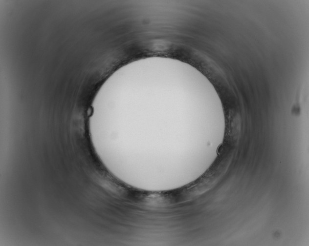 X0000101420562200808041130