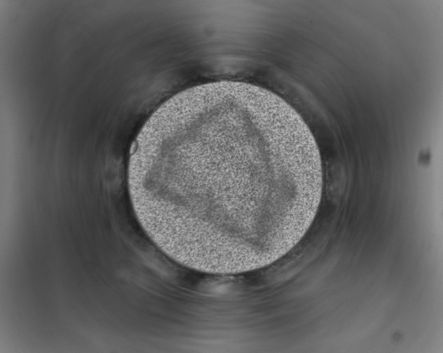X0000101420563200808041130