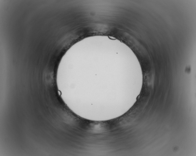 X0000101420564200808041130