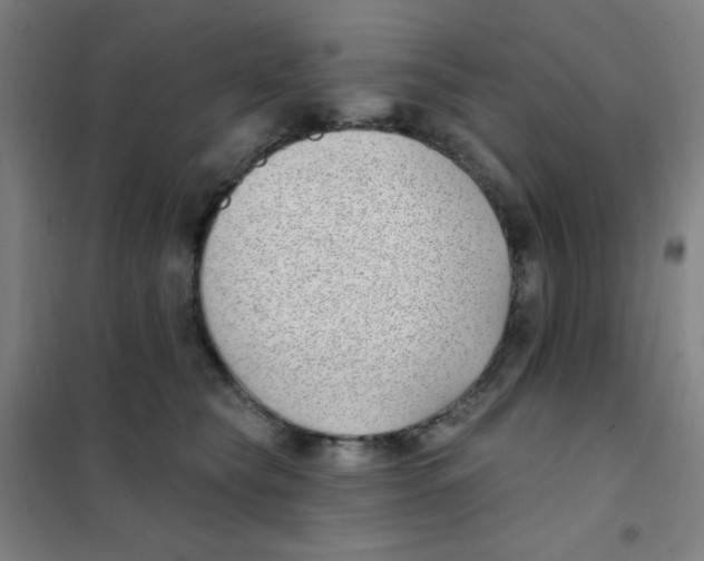 X0000101420565200808041130