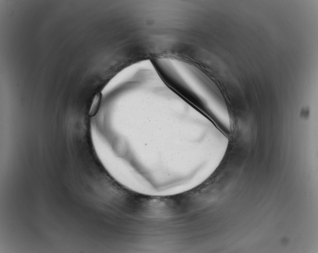 X0000101420566200808041130