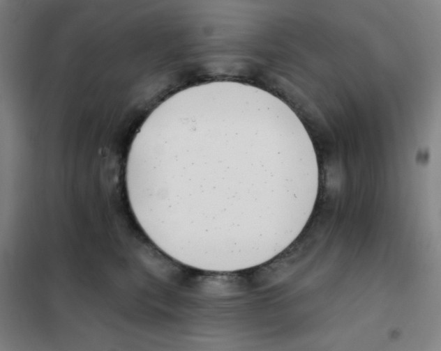 X0000101420567200808041130