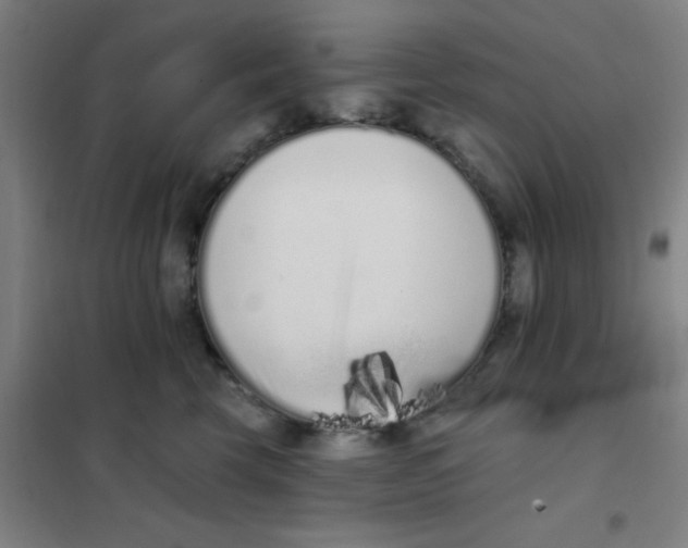 X0000101420569200808041131