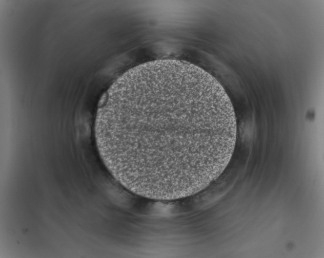 X0000101420570200808041131